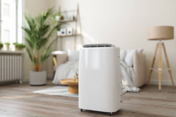 Best VRF (Variable Refrigerant Flow) Systems in Ozk, AR